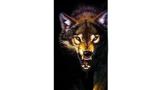 WOLF NEVER PERFORM IN CIRCUS || PSY STATUS || ATTITUDE STATUS || #WHATSAPPSTATUS #MRKKHDSTATUS