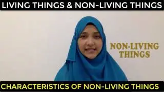 Primary 3 Science Living Things and Non-Living Things