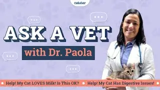Vet Answers Common Questions About Cats! l E05