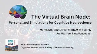 1 - A (nearly) math-free primer on large-scale modelling in TheVirtualBrain