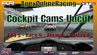 ApexOnlineRacing | GT3 | Season14 | Race 9  | Cockpit Cams Uncut | Algarve Portugal | Project Cars2