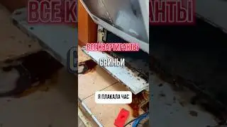 🐷 🐷 🐷 Антижир Easy Clean арт. вб WW115173#чистота #философиячистоты #уборка #квартиранты #грязь