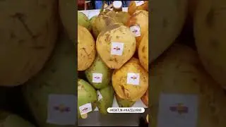 Exploring #lakshadweep #kingcoconut at Sport India Expo 2023 with @coco_kings| #delhincr Surprise!