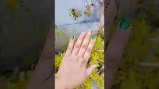 Ye mene kal dekha tha color combination, acha lag ra hai