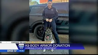 Corning Police gets donation of body armor for K9 Ghost
