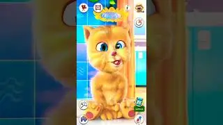 my funny talking ginger fun 🤣talking ginger funny video 🤣 #talkingginger #talkingtom #cutecat