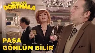 Niyazi Gül Dört Nala | Paşa Gönlüm Bilir