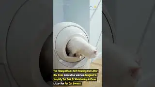 Revolutionize Your Cat's Bathroom: Cleanpethome Self-Cleaning Litter Box Review!