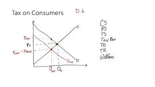 Tax and Subsidy Sample Questions