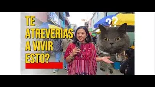 NADIE TE CUENTA ESTO sobre las tradiciones de San Francisco El Alto 😱
