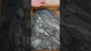 Black gray metallic colors fluid art dirty pour tray painting technique process video
