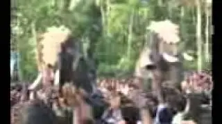 chakkumarassery 2012 AVI