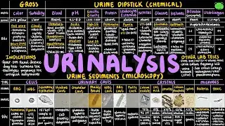 Urinalysis | Clinical Skills 05 | Clinical Essentials | PPNotes