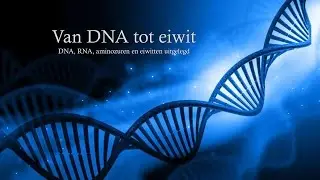 Van DNA tot eiwit (havo/vwo)