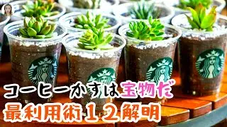 捨てないで！コーヒーカスはまだまだ使えるよ、再利用の方法を12個を一挙放送、ゴミから宝物へ|花子