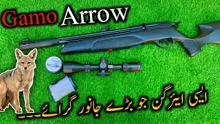 Gamo Arrow .22 Cal PCP Airgun|No Regultor PCP Airgun|Full Details In Hindi|AirHunter PK