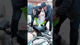 The Magic of Assembling Crystal Ball Fountains | 🇺🇸🇬🇧🇨🇦 #waterfeature  #shorts