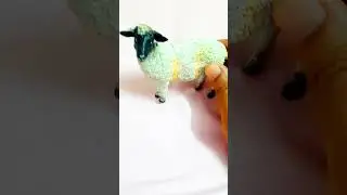 Sheep Toys - Farm Animals for Kids 🐑 | #shorts #toystory #babablacksheep