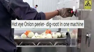 Hot eye onion peeler dig root in one machine vegetable fruit peeling machine food machine