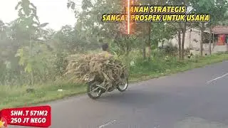 Tanah mangku aspal pantai prospek buat usaha 