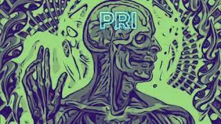 PRI x FLASHLIGHT (2019 official Audio)