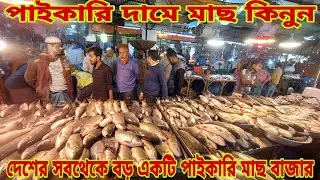 বাজারটি ঘুরে ঘুরে দেখে শুনে বুঝে এবং দামাদামি করে মাছ কিনুন / Fish Prices 14 January 2026 || My Life
