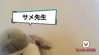 サメ先生のサメサメ塾 古代サメ編