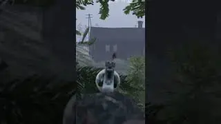Tree Sniper. #dayz