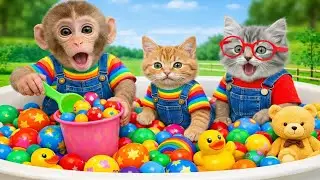 Macaco Arrumar a casinha e tomar suco com os gatinhos no quintal. | Baba Em PT