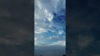 bird stuck and not moving forward ???