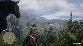 High lonesome Outlaw: RDR2. CHP 2, Limited Resources. Pt3
