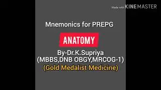 Mnemonics for prepg Anatomy.Easy and Fast 👨&zwj;⚕️