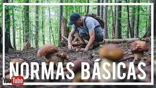 🍄 NORMAS PARA RECOLECTAR SETAS. (peligros, consejos, d&oacute;nde y cuando recolectarlas...)
