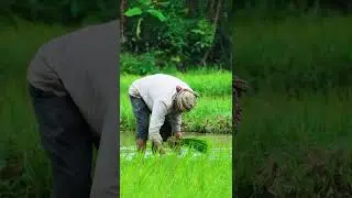 11 Years. One Mission &mdash; Kisan Kalyan!
