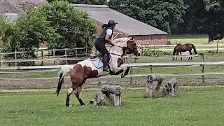 Odie's first eventing course (training)