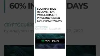 Bitgert shows 60% increase over the past 7 days!🚀🚀🚀