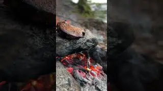 Grilling the Perfect Steak on a Stone by the River 🌿🥩 | Switzerland Tourism