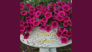 Inner Soul