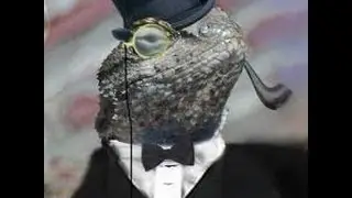 FINAL LIZARD SQUAD MEMBER ARRESTED THE LIZARD SQUAD MEMBER WHO DDOS PSN XBOX LIVE IS ARRESTED