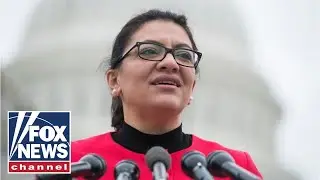 Tom Cotton slams Tlaib for calls to defund ICE, CBP: 'Recipe for disaster'