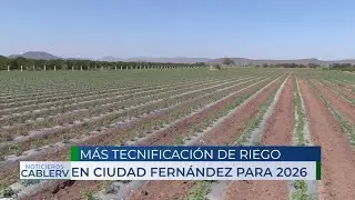 Impulsan en este 2026 la tecnificación en campos fernandenses