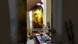 Холодное заваривание против повторного использования листьев завтра #чай #холодноезаваривание #гу...