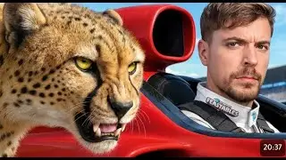 Mr. Beast: World's Fastest Car VS Cheetah!