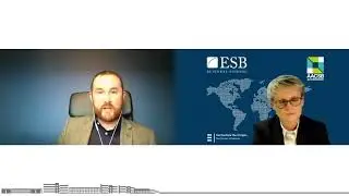 MGM: Germany & Ireland (Dublin City University Business School)