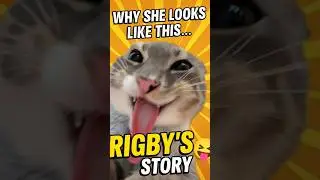 The Cat with Fainting Goat Syndrome
