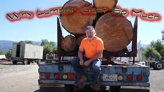 Why are Lumber Prices so High?!?!