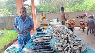 களுவாஞ்சிக்குடி  மீன்சந்தை 