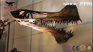 （Hualong Dino Works）Dinosaur fossil skeleton exhibition