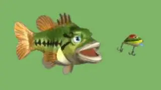 Free Green Screen Fish  Video.