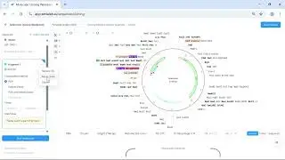 Gibson Assembly for Multi Fragment Insertion Plasmid Construction